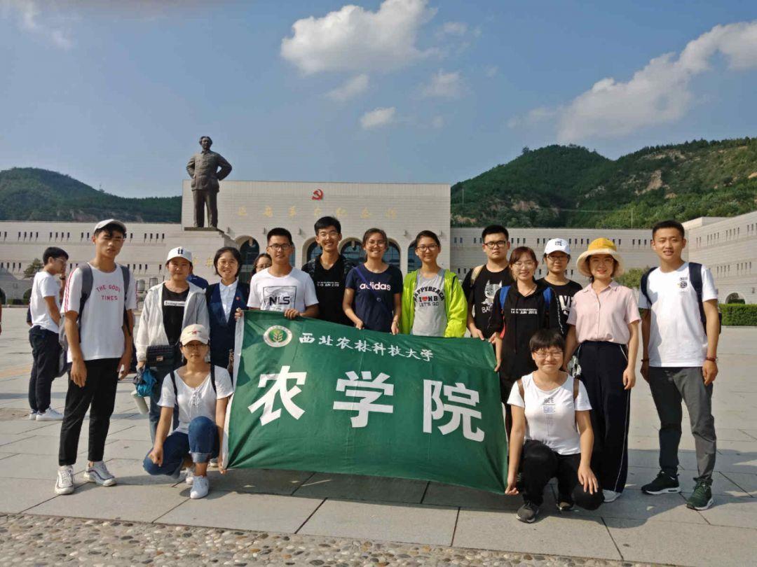 豆娃爱糖果3
